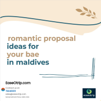 Romantic Maldives Tour Packages