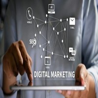 Digital Piloto is a digital marketing company in Kolkata
